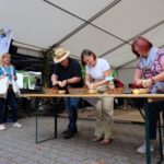 Flämingmarkt in Cammer, Kartoffelschälwettbewerb, Foto: Eileen Genz